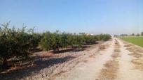 Residencial en venda en Catral