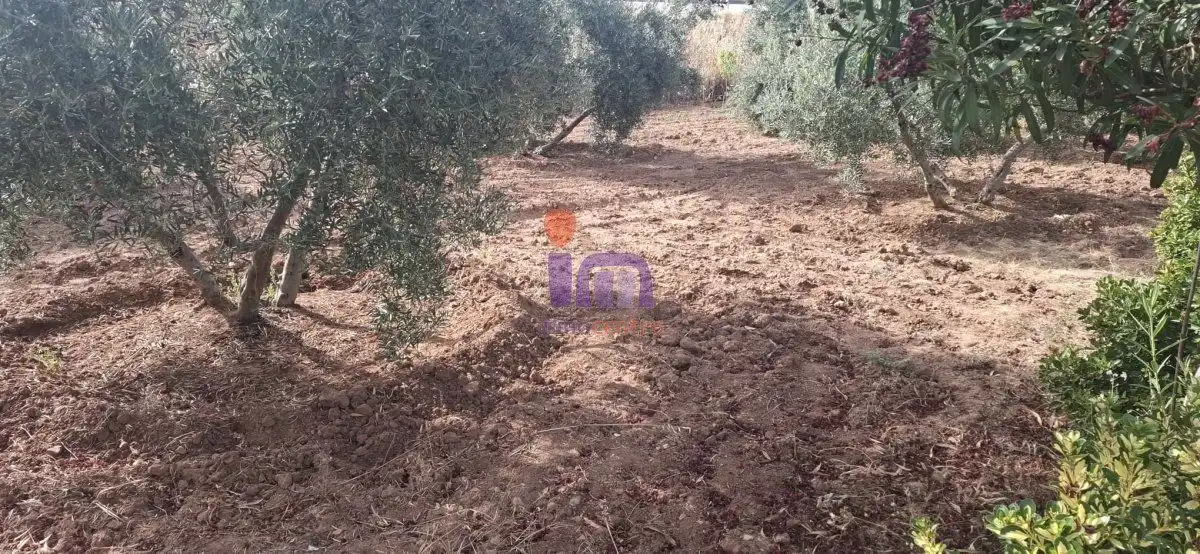 Casa o xalet en venda en Valdepeñas amb Jardí privat i Piscina