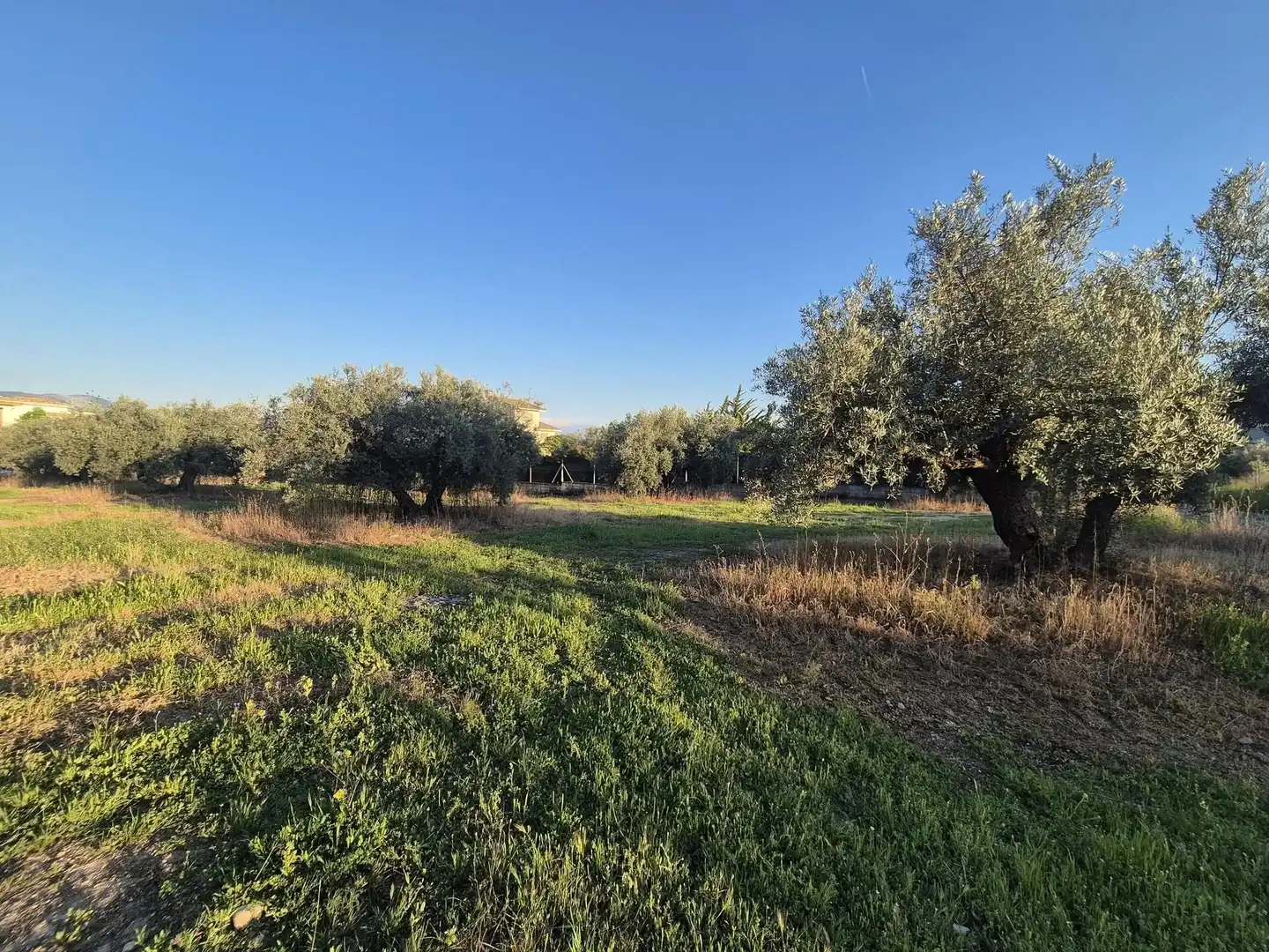 Terrain résidentiel à vendre à Pantano de Cubillas, imagen 9