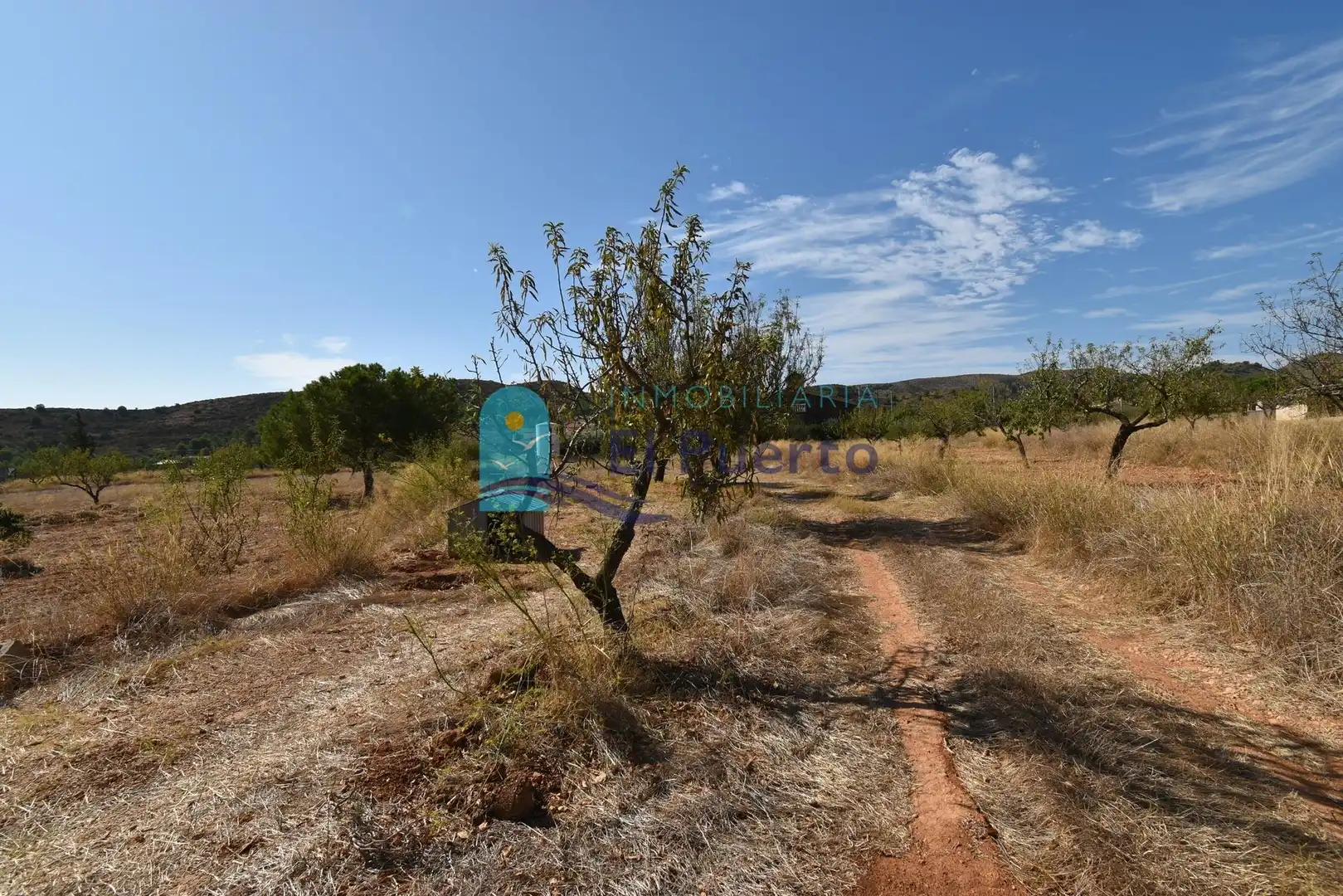 Rustikales Grundstück zum Verkauf in Pedanías Oeste, imagen 12