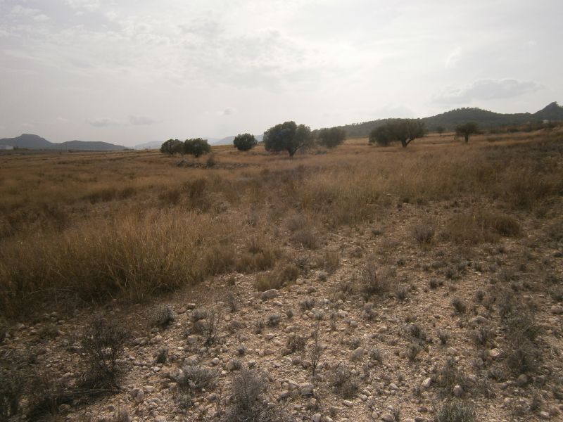 Land for sale in Castrillón