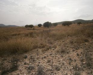 Land for sale in Castrillón