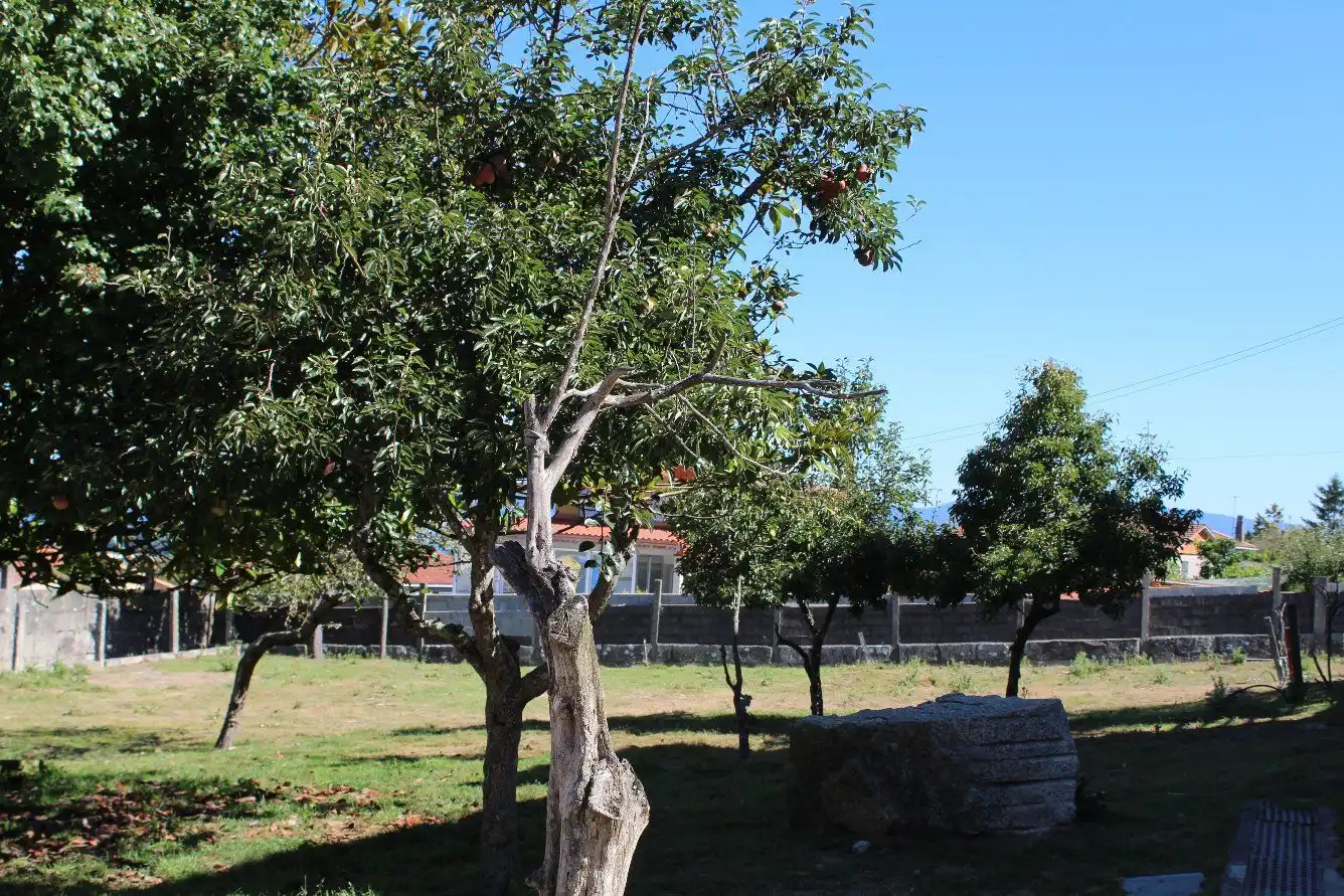Terreni e lotti in vendita a Coruxo - Oia - Saiáns, imagen 37