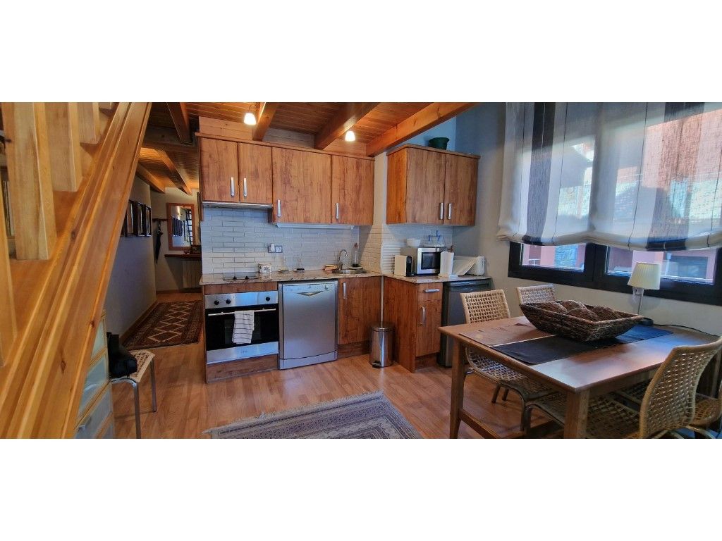 Cocina de Apartamento de alquiler en Canillo