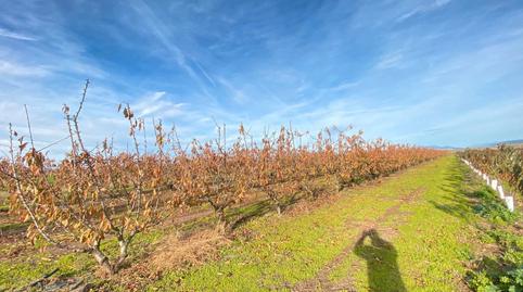 Foto 2 de Terreny en venda a N/a, Alagón del Río, Cáceres