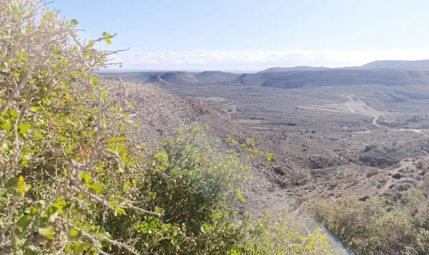 Vista exterior de Casa o chalet en venta en Níjar con Amueblado