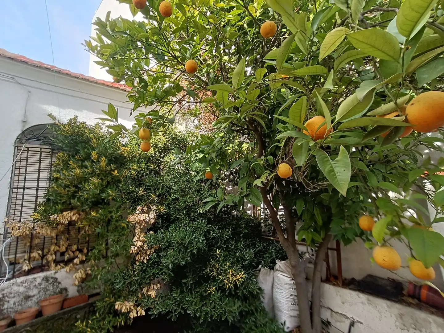 Jardí de Casa o xalet en venda en Ciudad Real