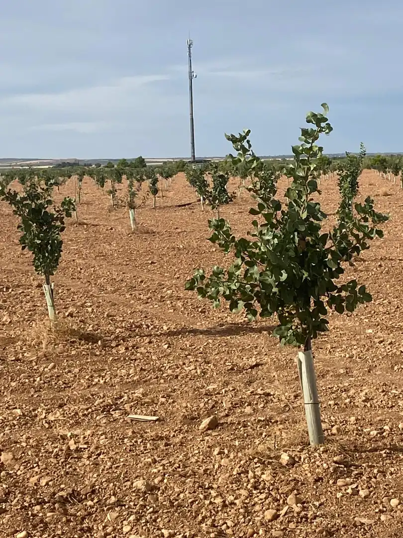 Terreno rustico in vendita a Calle García Pavón, imagen 3