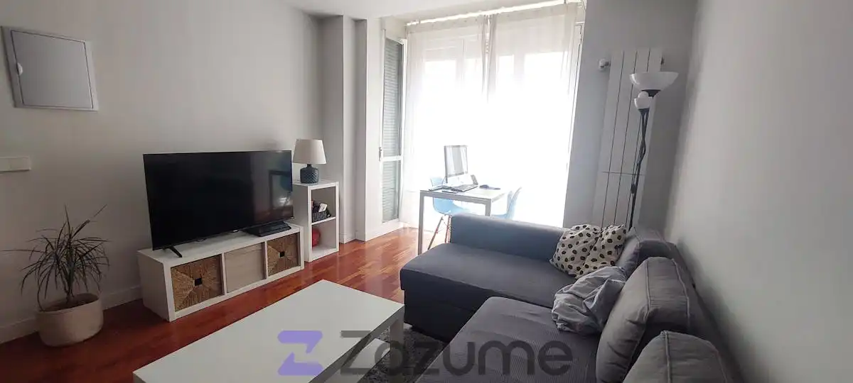 Sala d'estar de Estudi de lloguer en Madrid amb Aire condicionat, Calefacció i Parquet