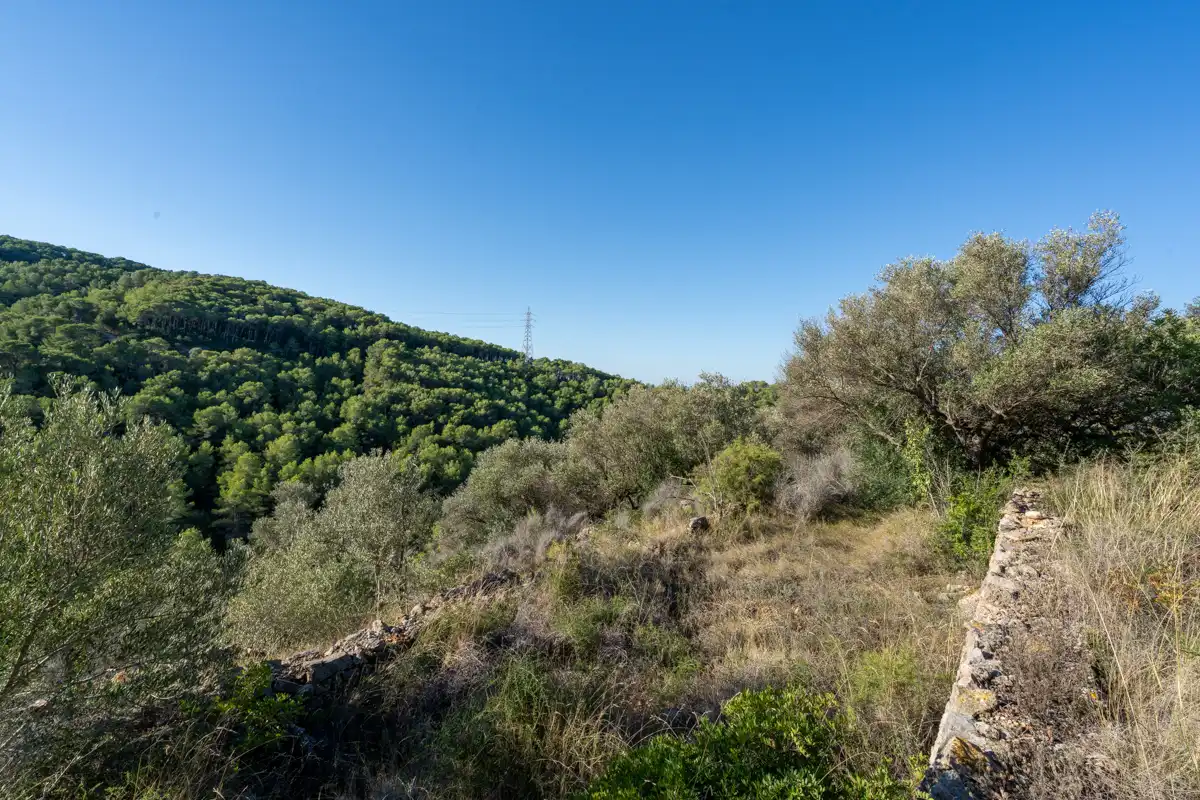 Terreny rústic en venda a Camí de la Potra de Pino 28, imagen 20