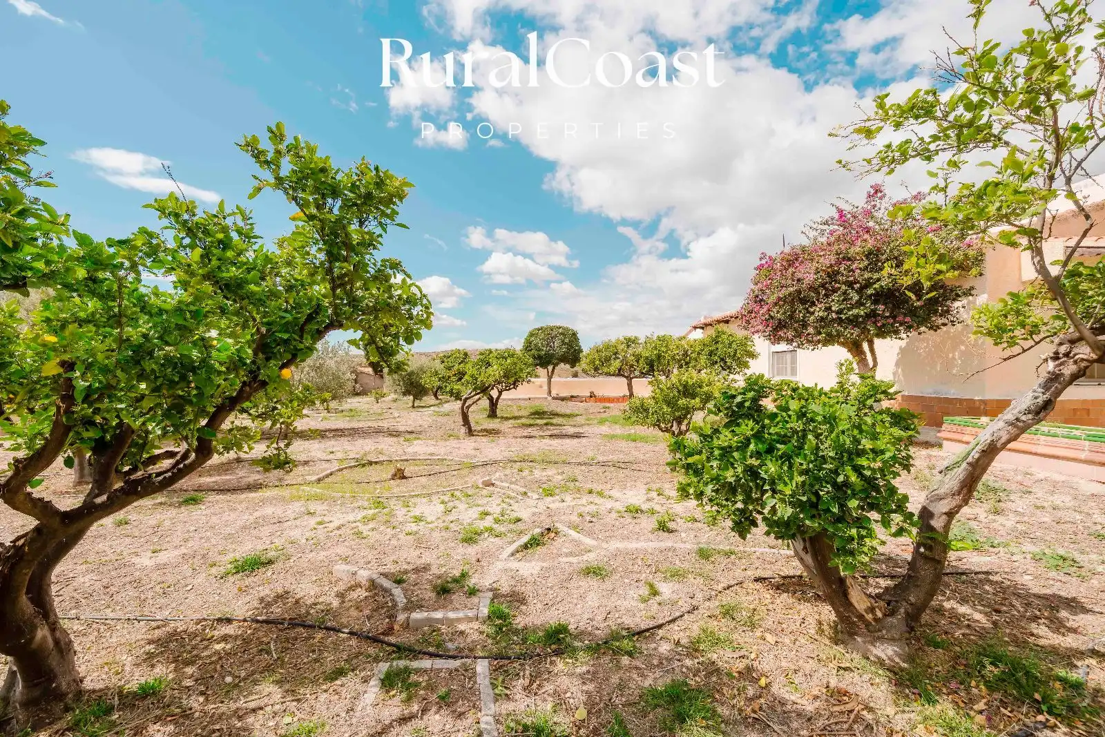 Casa o chalet en venta en JOAN VALLS, Valle del Sol