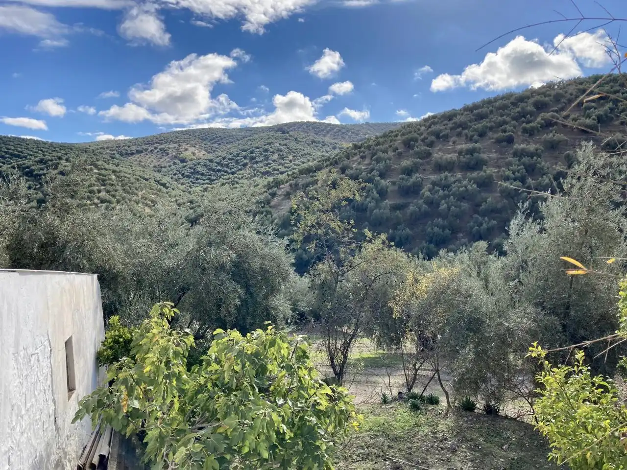Casa en venta en Diseminado la Parrilla, imagen 33