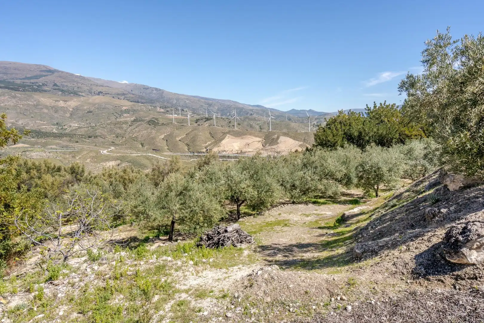 Terreno en venta en El Pinar