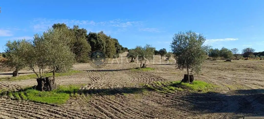 Terreno rústico en venta en Villamanta, imagen 3