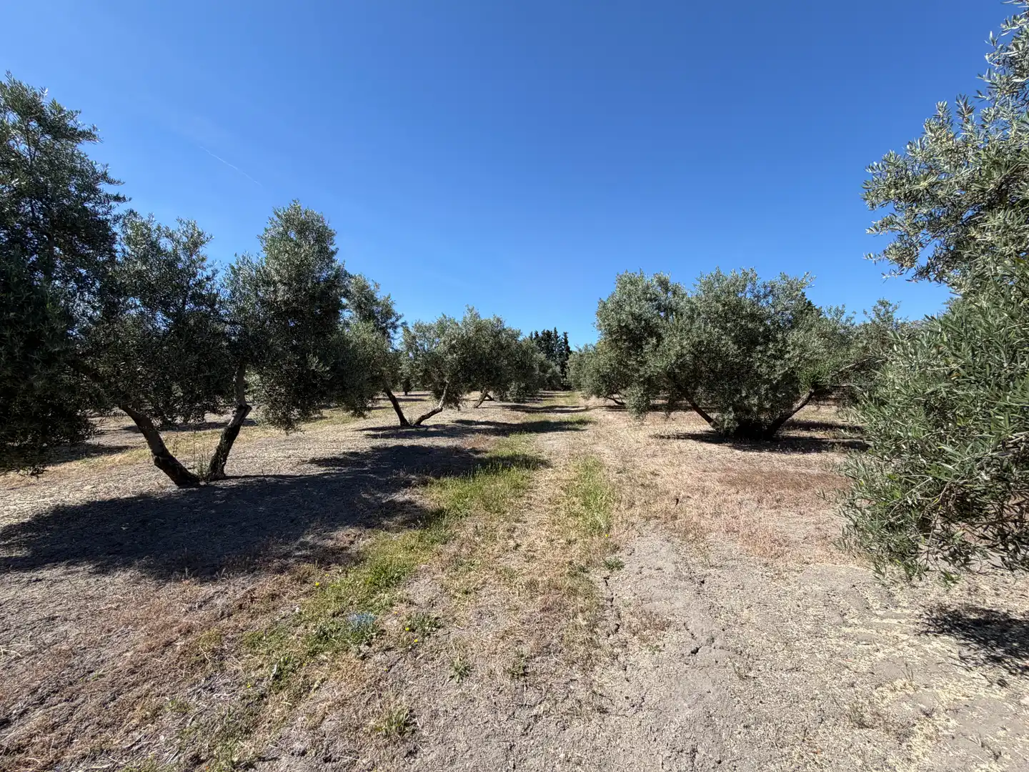 Terrenos y solares en venta en Carretera, imagen 11