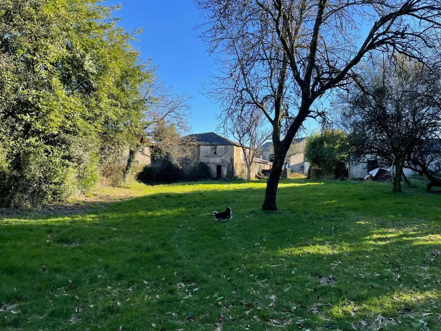 Country homes for sale in Aranga