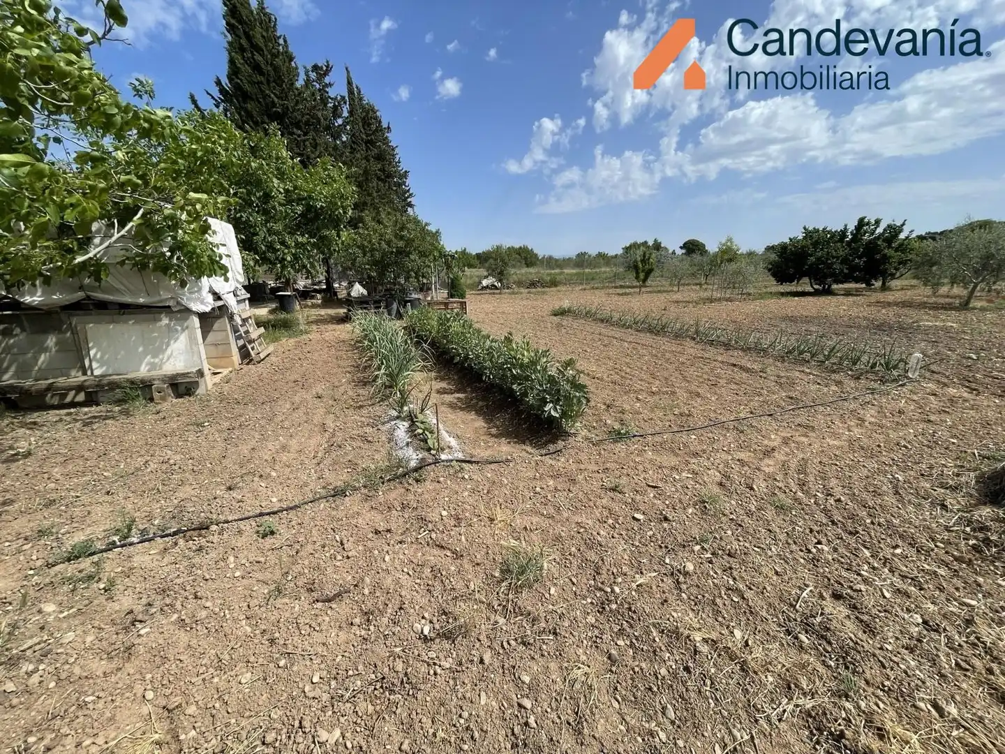 Land for sale in Gurrea de Gállego