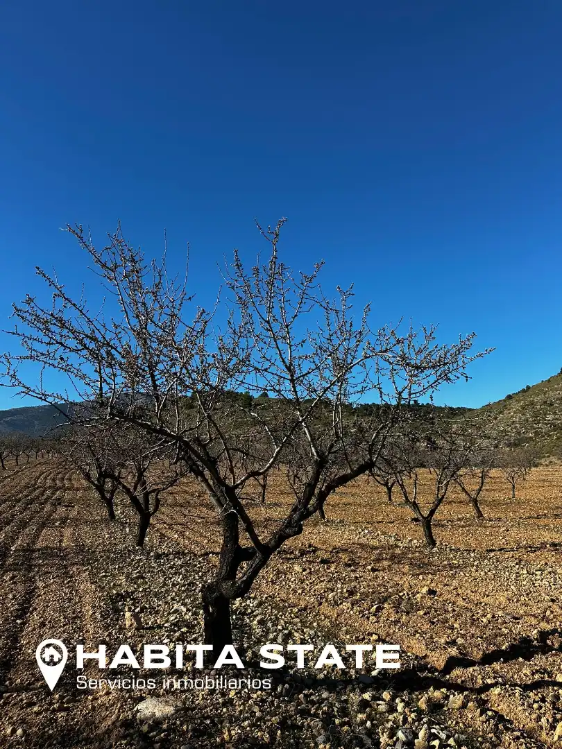 Exterior view of Land for sale in Baza