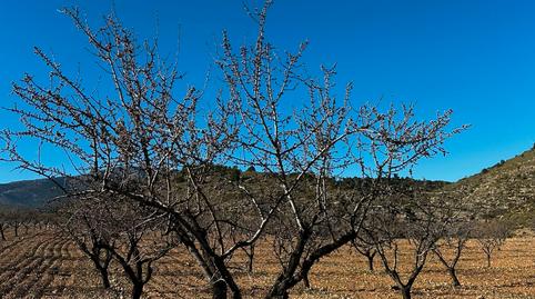 Foto 4 von Grundstücke zum Verkauf in N/a, -1, Baza, Granada