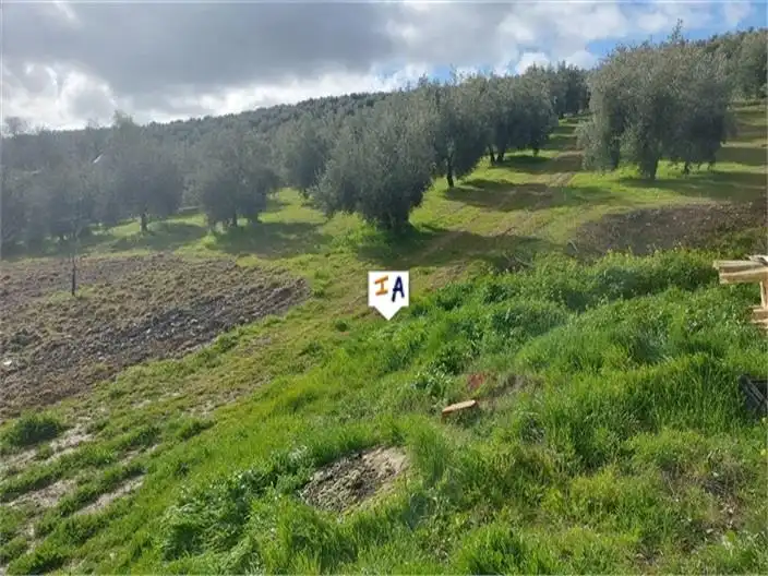Casa o xalet en venda en Campotéjar amb Internet