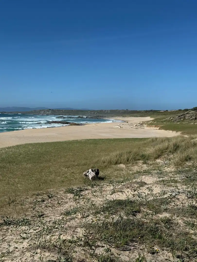 Appartement à vendre à Corrubedo, imagen 10