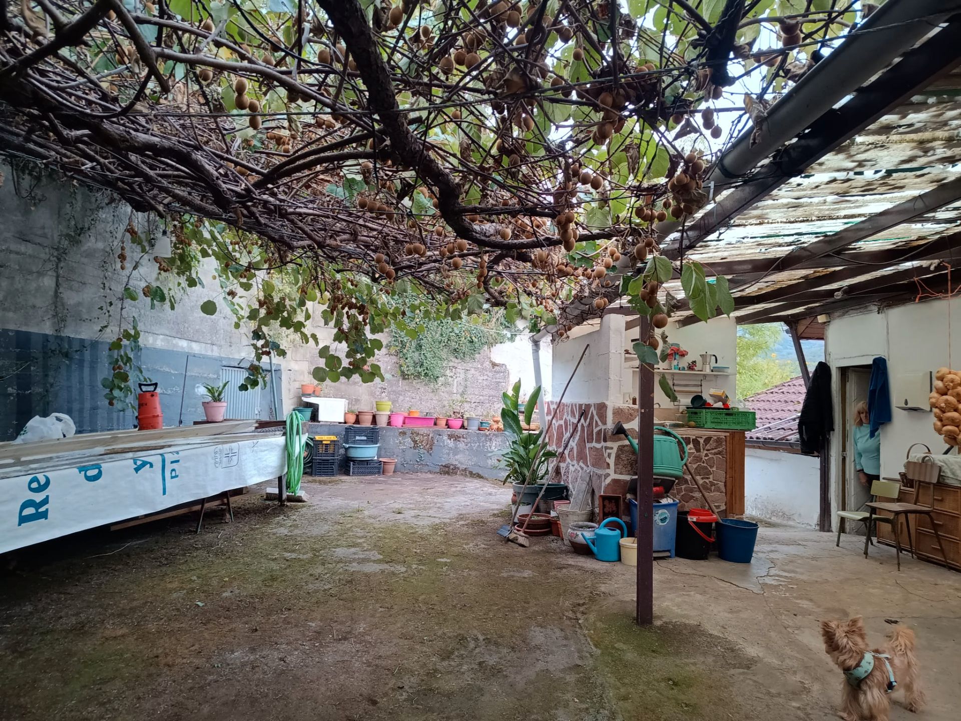 Terrace of House or chalet for sale in Laviana  with Heating, Private garden and Furnished