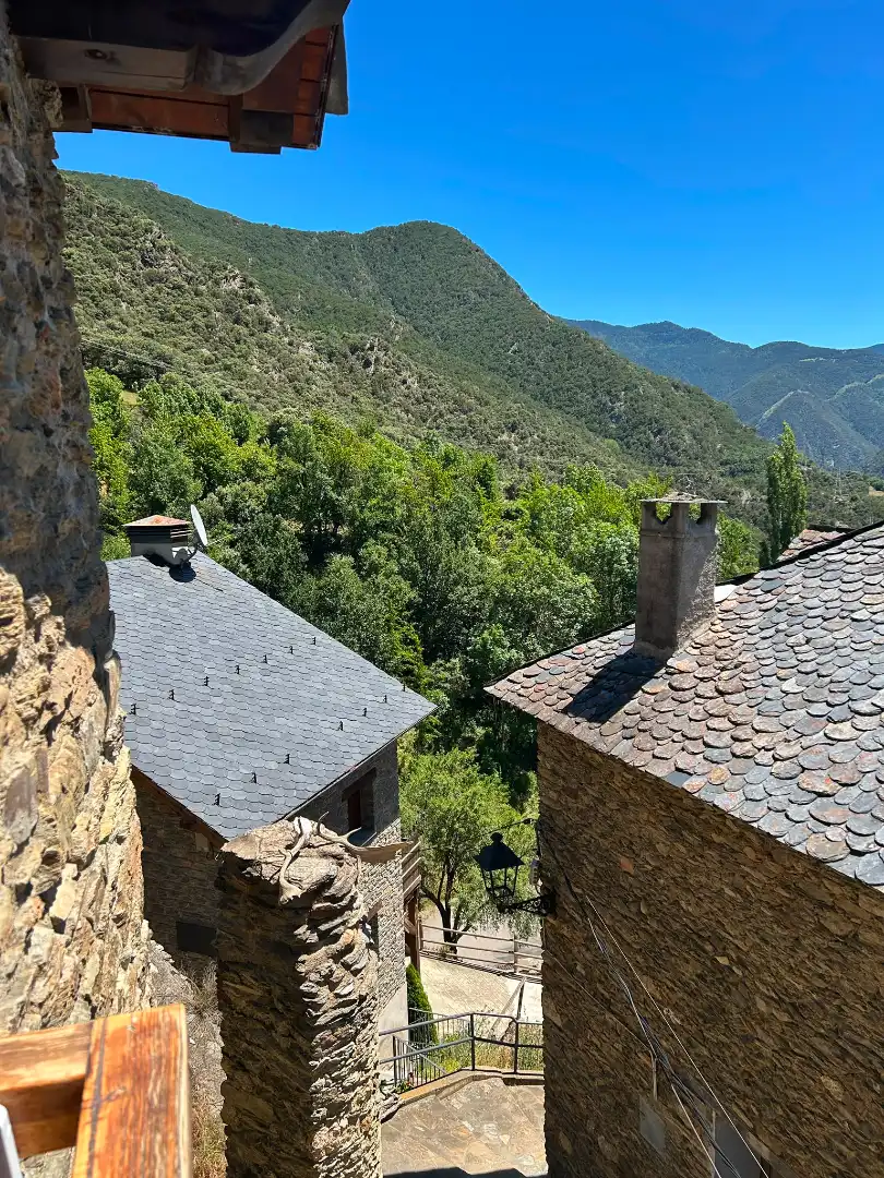 Houses for sale in Carrer Unica-aidi, 5, Llavorsí
