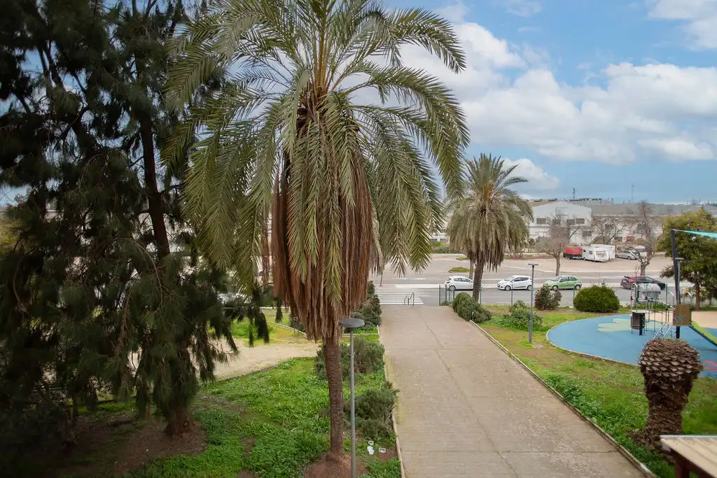 Vista exterior de Pis en venda en Linares amb Piscina