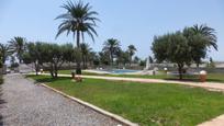 Garden of House or chalet for sale in Roquetas de Mar  with Swimming Pool