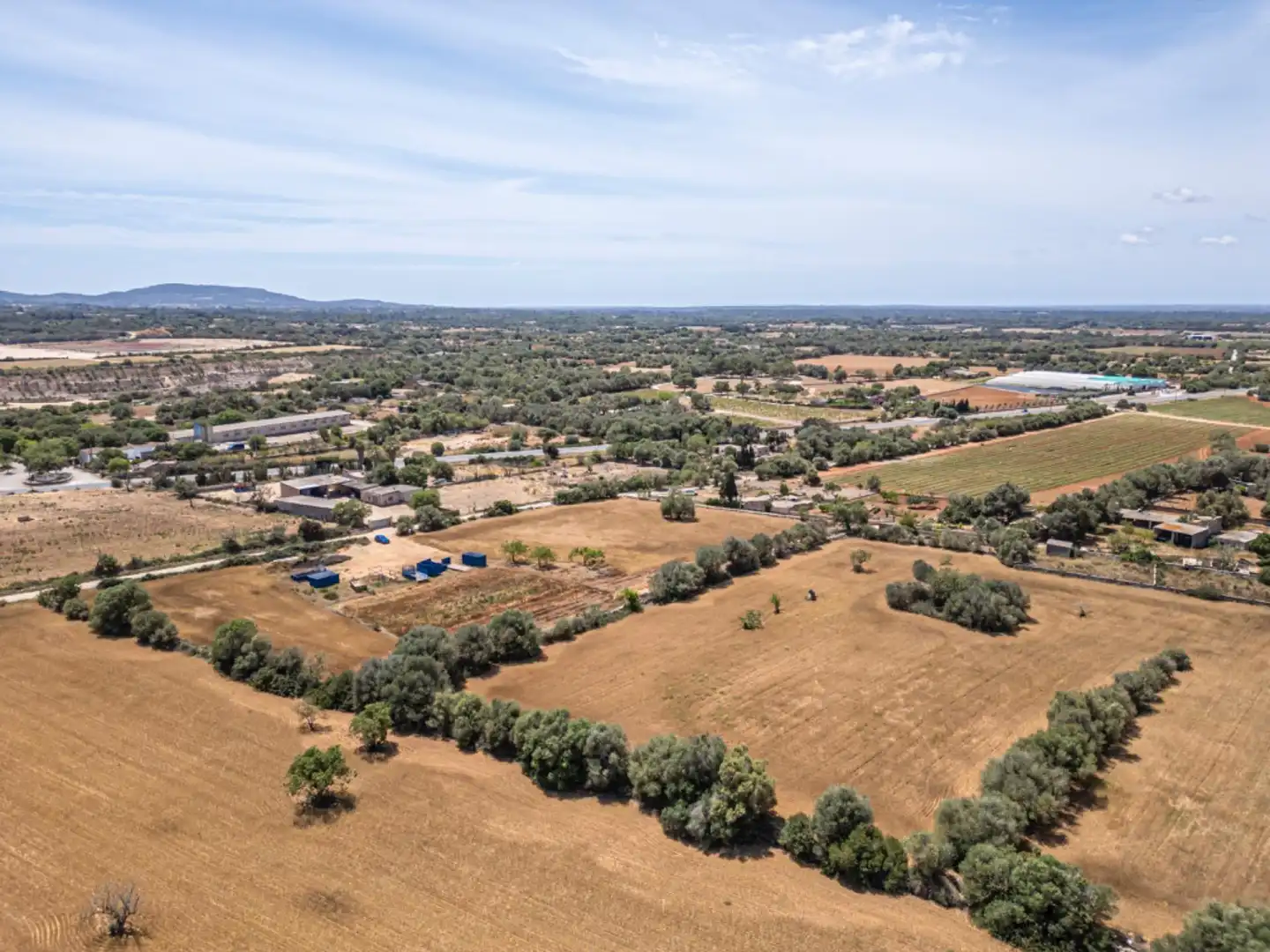 Terreno rustico in vendita a Felanitx Poble, imagen 10