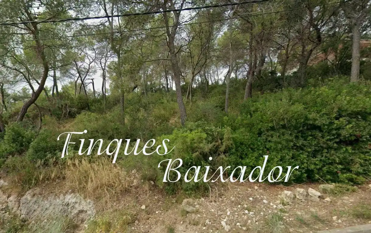 Residential land for sale in Carrer del Trencapinyes 41, imagen 2