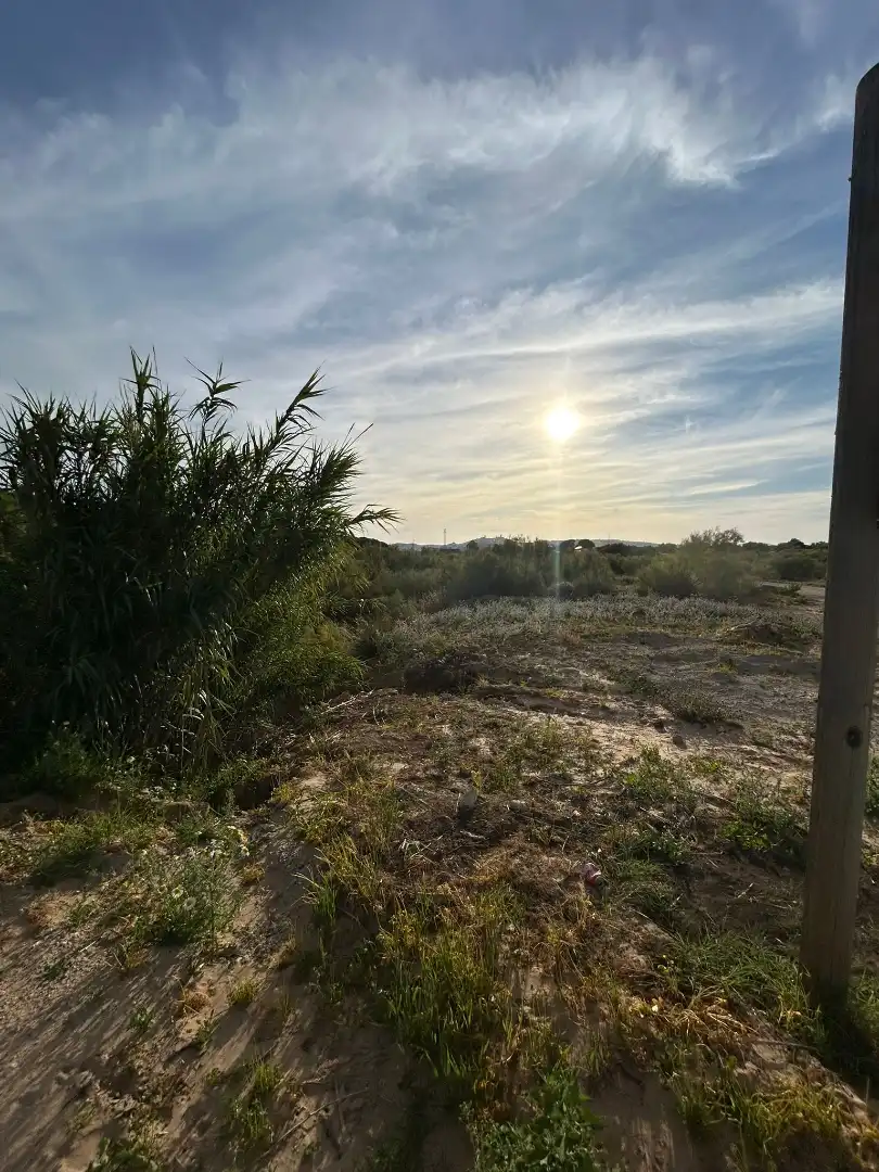 Terrain rustique à vendre à Arcos de la Frontera, imagen 5