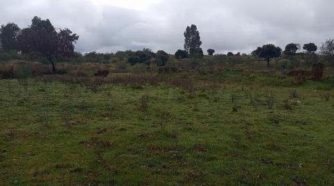 Photo 5 of Country house for sale in Oeste, Badajoz