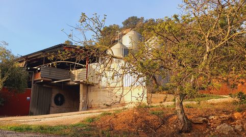 Granja en venta en Xerta, imagen 2