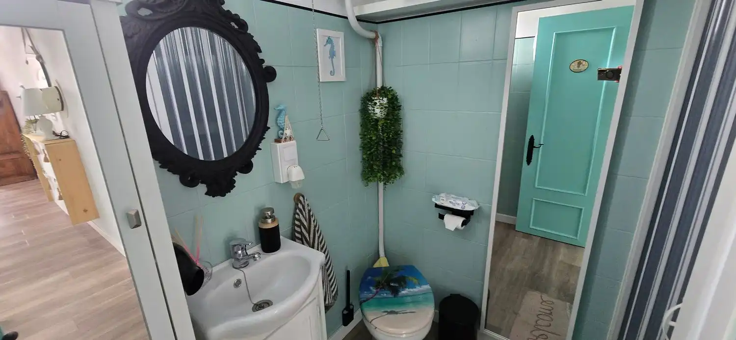 House with garden for sale in Calle Boquerón, imagen 11