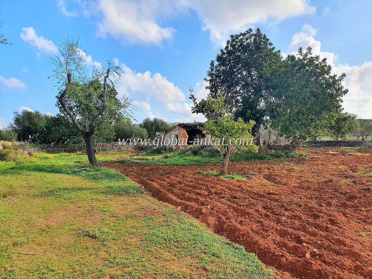 Maison rustique à vendre à Campos poble, imagen 14