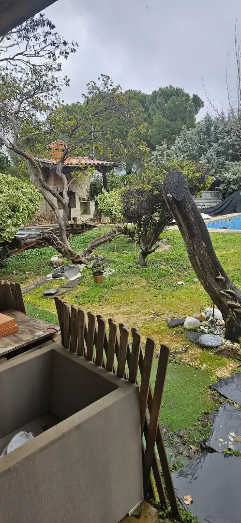 Jardí de Casa o xalet en venda en Villar del Olmo amb Jardí privat i Piscina