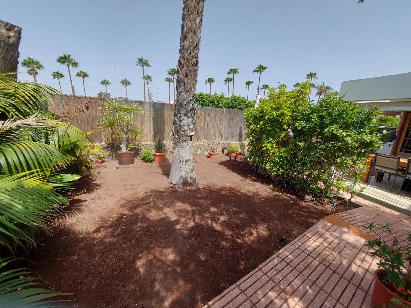 Casa o xalet en venda a Avenida Touroperador Tjaereborg, 59, Maspalomas - Meloneras