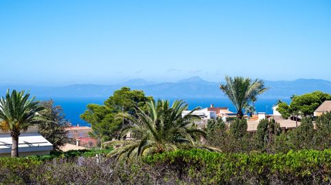 Foto 2 de Casa o xalet de lloguer a Badia Blava - Badia Gran - Tolleric, Llucmajor