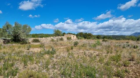 Foto 4 de Finca rústica en venta en Camí de Les Candenes, 2a, L'Ametlla de Mar pueblo, Tarragona
