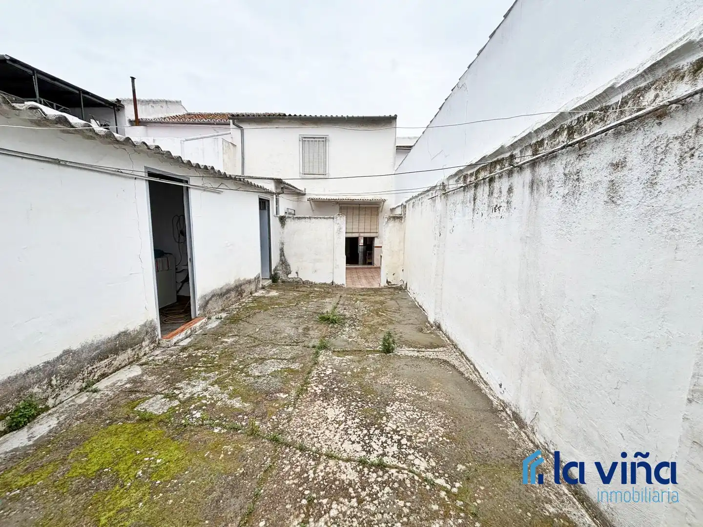 Vista exterior de Casa o chalet en venta en Palenciana con Trastero