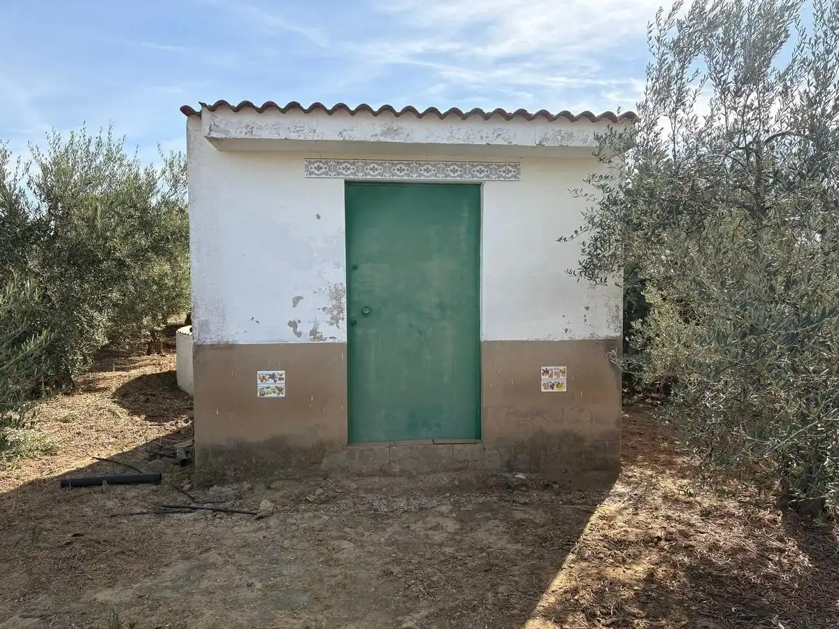Rustikales Grundstück zum Verkauf in Bollullos Par del Condado, imagen 4