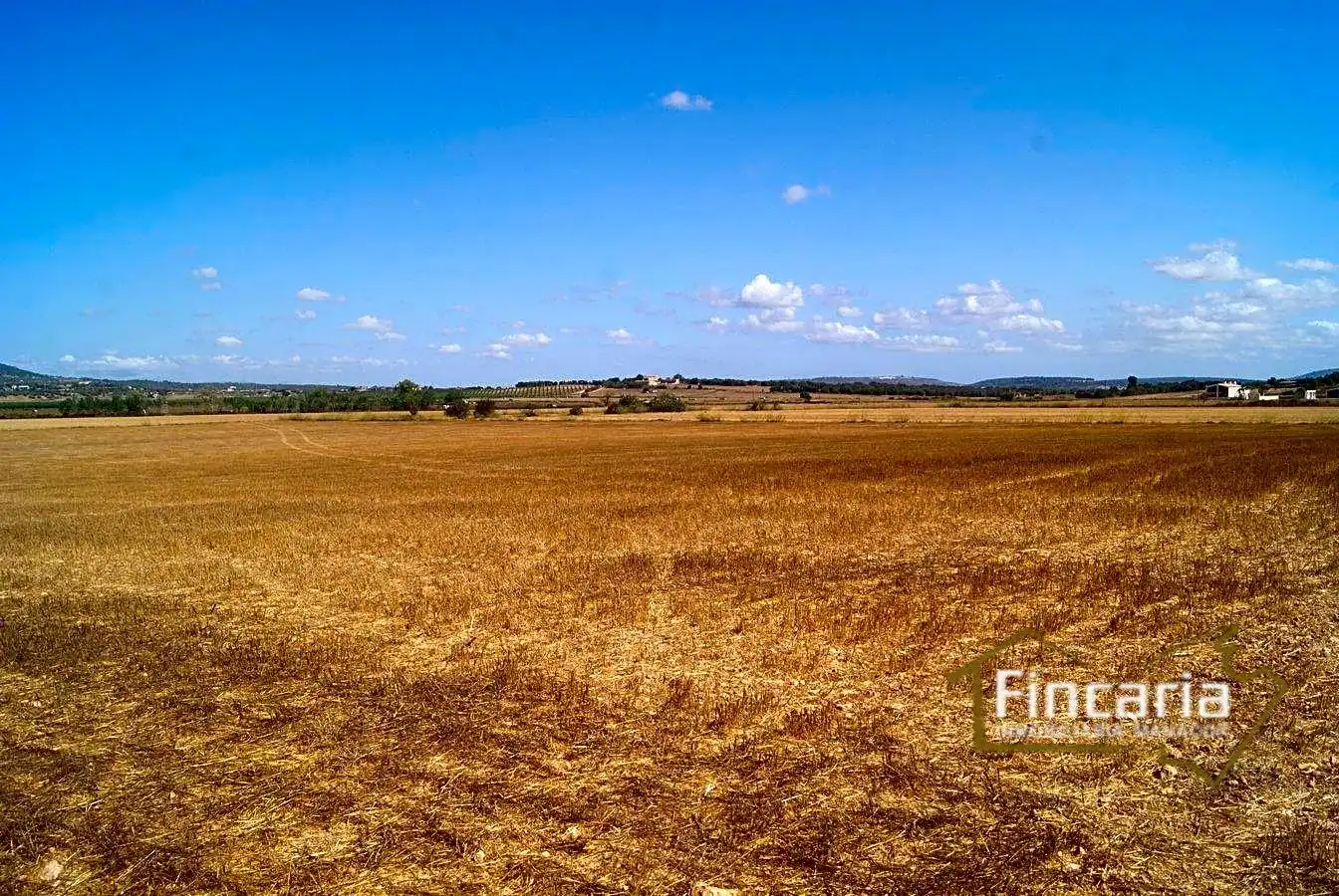 Residencial en venta en Vilafranca de Bonany