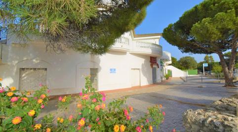 Photo 2 of Premises to rent in Avenida Vereda Cadiz Conil, Las Lagunas - Campano, Cádiz