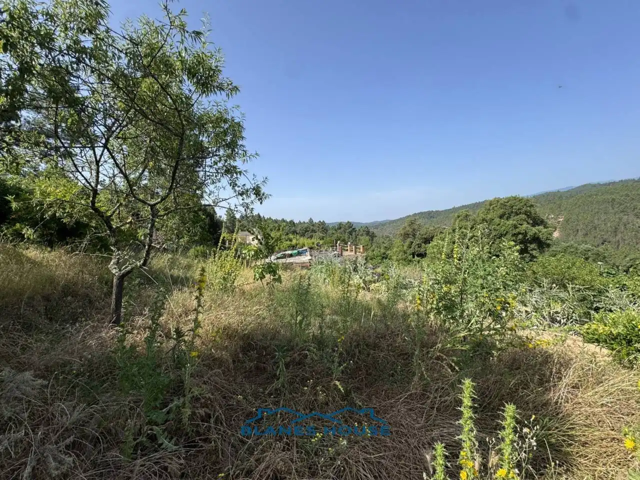 Casa o xalet en venda en Riudarenes amb Jardí privat i Terrassa