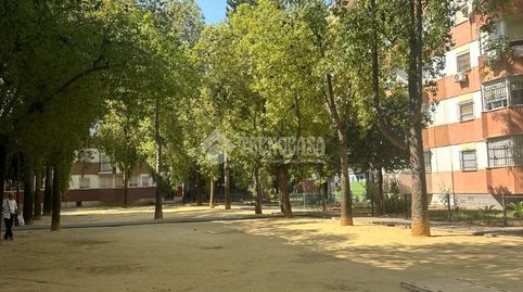 Foto 3 de Piso en venta en La Oliva, Sevilla Capital
