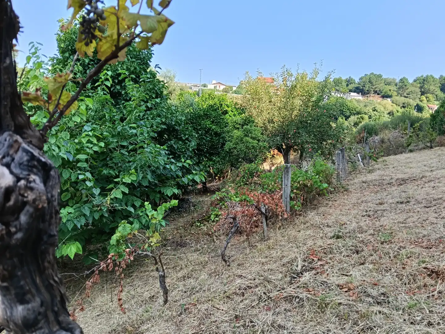 Maison avec jardin à vendre à Rúa Saavedra Meneses 87, imagen 13