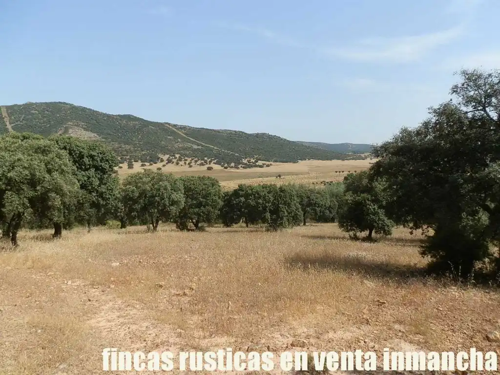 Terreny rústic en venda a Alcolea de Calatrava, imagen 19