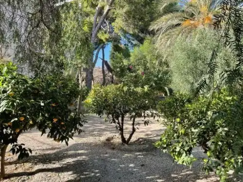 Lands and plots for sale in Calle Calle Virgen del Pilar 16, 30700, Torre-Pacheco Mu, imagen 7