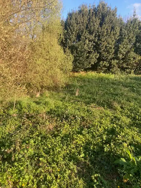 Land for sale in Arteixo